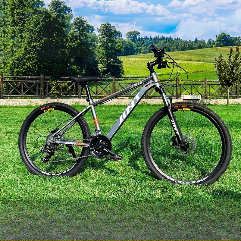 Groothandel Aluminium Alloy 26 - Commuting With Bike recensie en prijs